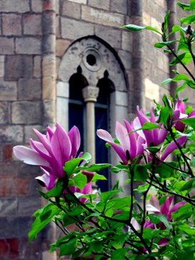 This photo of the exterior of the Manasija Monastery near Despotovac, Serbia was taken by a Serbian photographer.